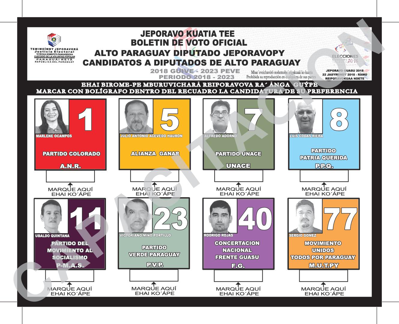 Boletin de voto de candidatos a Diputados de ALTO PARAGUAY
